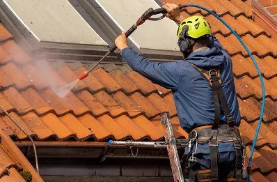 Démoussage et hydrofuge de toiture à Bron